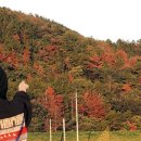 소나무수산