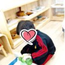 마마몽떼몬테소리 이미지