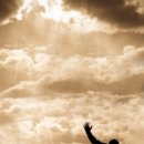 시온의 대로 이미지