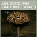 4월27일 ＜Medical 뇌 건강＞ 이미지