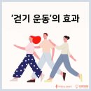 하이풀 스포츠 이미지