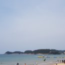 피노(Pino) 네이버블로그