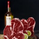 한우리 가축인공수정소 | [토론]대체육 상용화