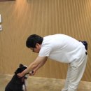 이리와 이미지