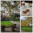 캔버스에 유화 | London. Day 13. (1) 파란 하늘. The Courtauld Gallery. Cafe Crown. Victoria Embankment Gardens...