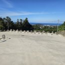 일랑일랑 애견캠핑 인제주 이미지