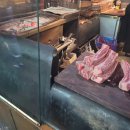 몽탄 | 서울 3대 고기 맛집 우대 갈비가 유명한 용산 몽탄 후기!