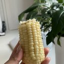 삼익농원 이미지