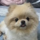 이뻐지는산책 이미지