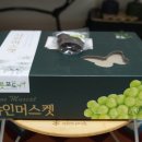 꽃무릇영농조합법인