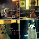 토마토잡 네이버블로그