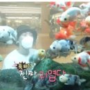 물멍물멍 이미지