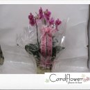 대왕자동차정비 이미지