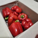 섭이네농장 이미지