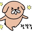 충만카센타 이미지