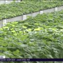 제주미래산업
