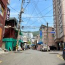 복동이네오지상