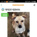 멍돌이와 멍순이 이미지