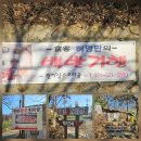 오리골 | 용인 애견동반식당 찾다가 발견한 노포 맛집 | 용인 한터 장수오리골 내돈내산 후기