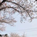 대흘보건진료소 네이버블로그