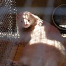 밍크모텔 이미지