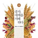 흥농종묘 | &lt;종자, 세계를 지배하다&gt;터미네이터 종자, 들어보셨나요?