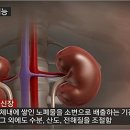 신장에 좋은 음식, &#39;이것&#39;으로 지켜요 이미지