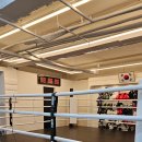 팀타이거복싱짐 이미지