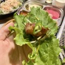 본오도서관 | 안산 상록수역 맛집 돼지새마을본부 본오직영점 솔직 후기