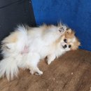 바로나도 수원영통 이미지