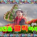 경주한옥마을 이미지