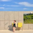 스테이사계:온 이미지