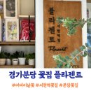 플라젠트 이미지