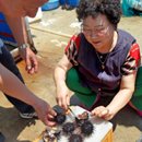 울진 기성어촌체험마을 이미지