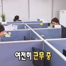 솜띠