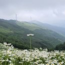 이동식당 - 김해시 | 이동식당