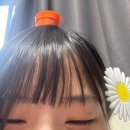 설날 연휴의 일상은😊햅삐