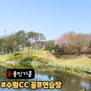 신봉골프연습장 | 용인 수원 Par3 추천 수원CC 파3 골프연습장 후기