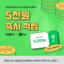 포인트 안경&콘택트 이미지