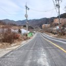 대송조경