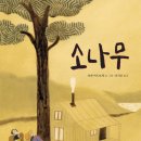 소나무둥지 이미지