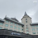 하이원 팰리스호텔 | 하이원 팰리스호텔 팰리스볼룸 웨딩홀 후기