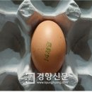 김옥순 농장 이미지