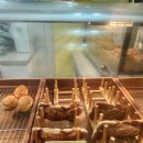 은마붕어빵 | [대치동/맛집] 대치동 학원가 1등 간식! 팥붕슈붕 대치점 고구마 붕어빵 내돈내산 후기
