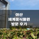 [내돈내산] 아산 세계꽃식물원 방문후기!