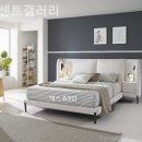 빈센트가구