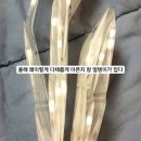 2020년 해낸 열 가지 일