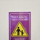 마마테니스 이미지
