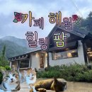 감성수채화/ 강좌번호 15 | 완주 드림뜰 힐링팜 및 카페 해월 다녀온 후기