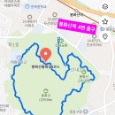 숲길발길